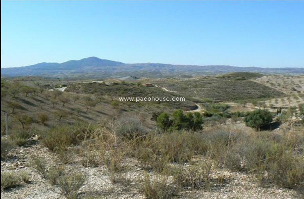 Resale - Plot / Land -
Zarzalico