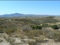 Resale - Plot / Land -
Zarzalico