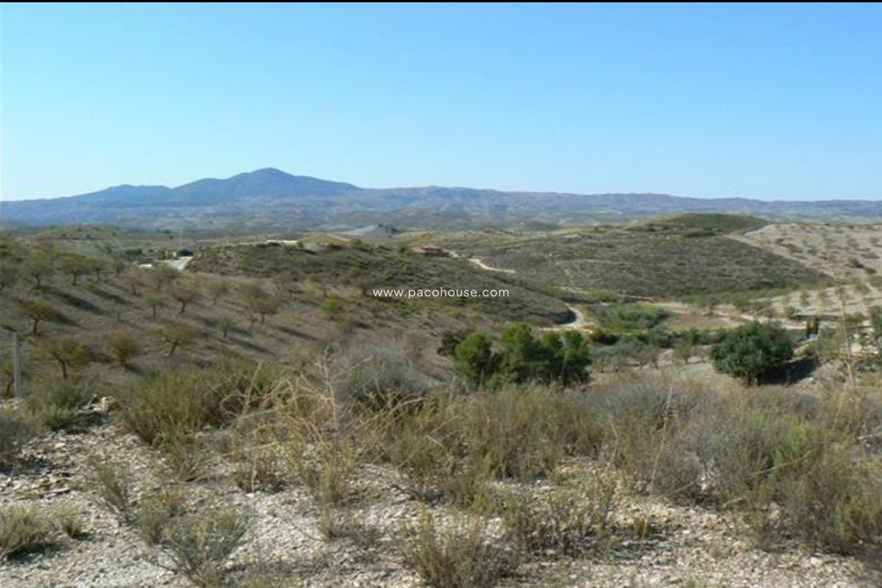 Resale - Plot / Land -
Zarzalico