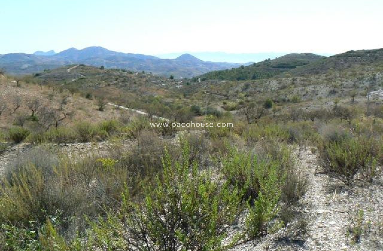 Resale - Plot / Land -
Zarzalico