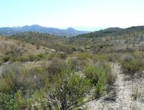 Resale - Plot / Land -
Zarzalico