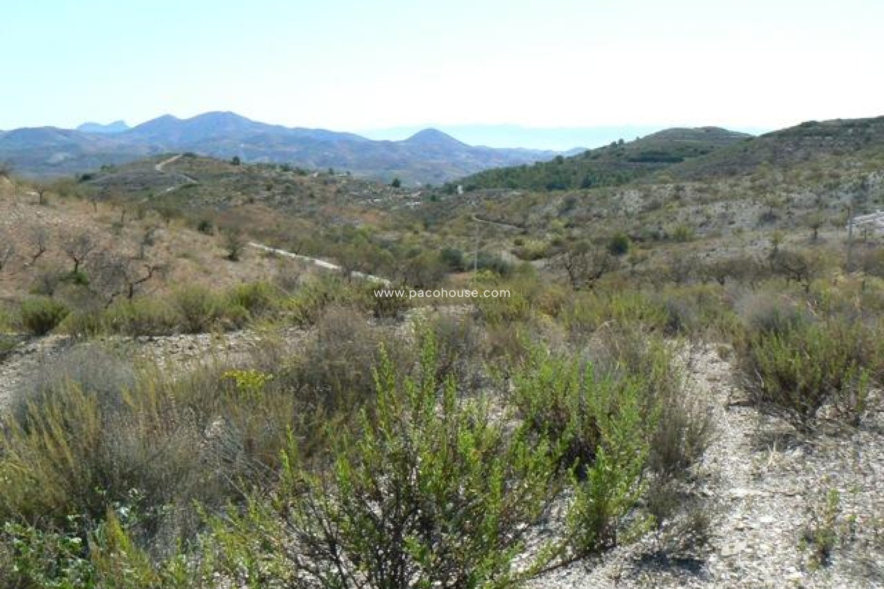 Resale - Plot / Land -
Zarzalico