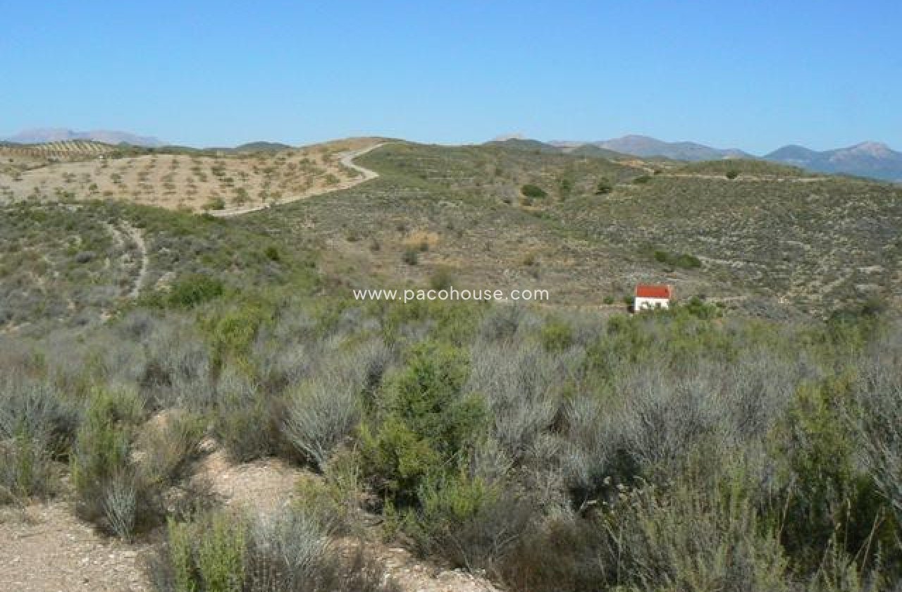 Resale - Plot / Land -
Zarzalico