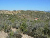 Resale - Plot / Land -
Zarzalico