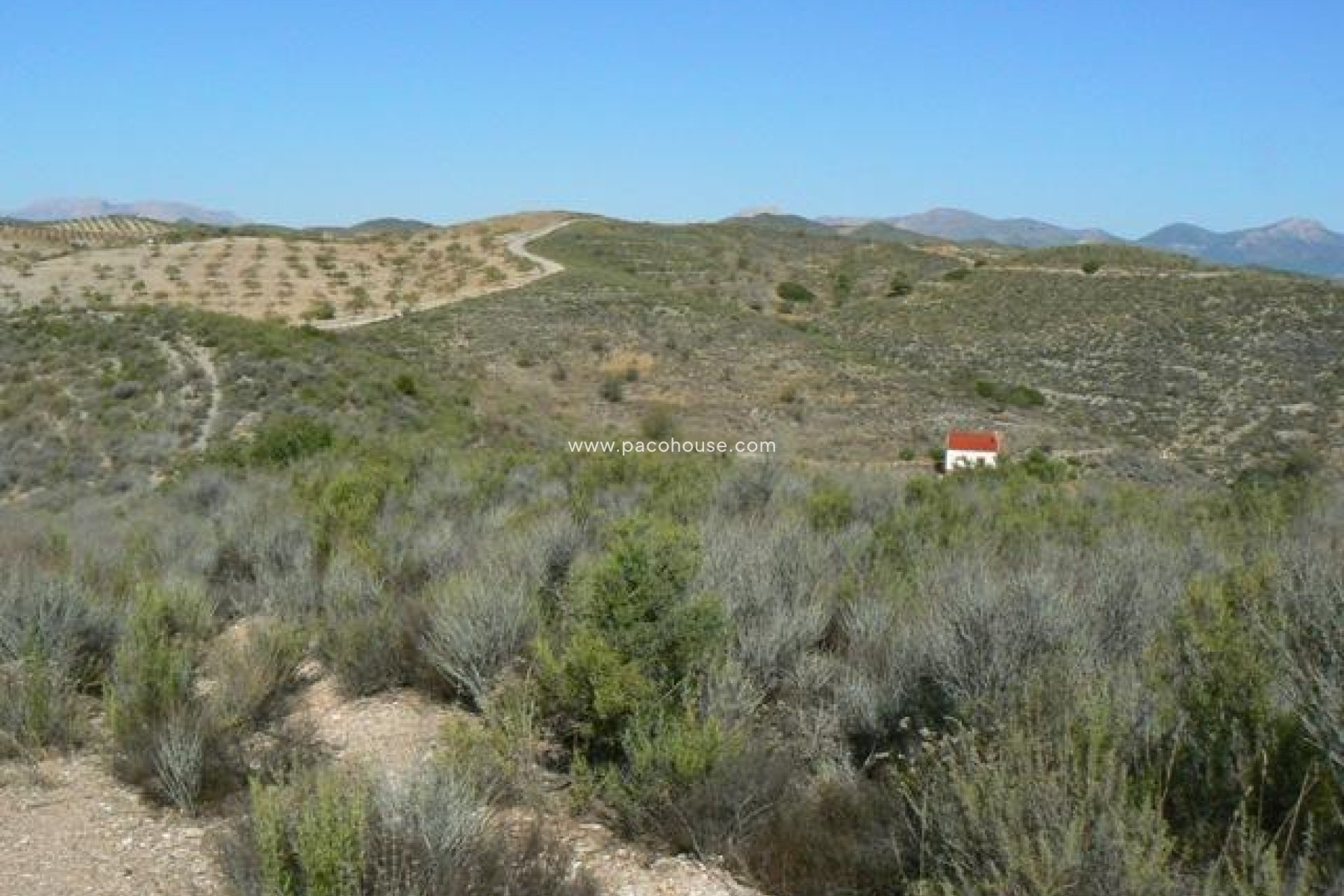 Resale - Plot / Land -
Zarzalico