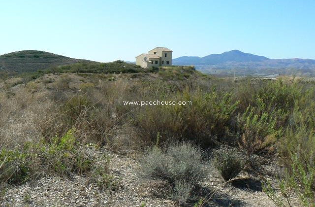 Resale - Plot / Land -
Zarzalico