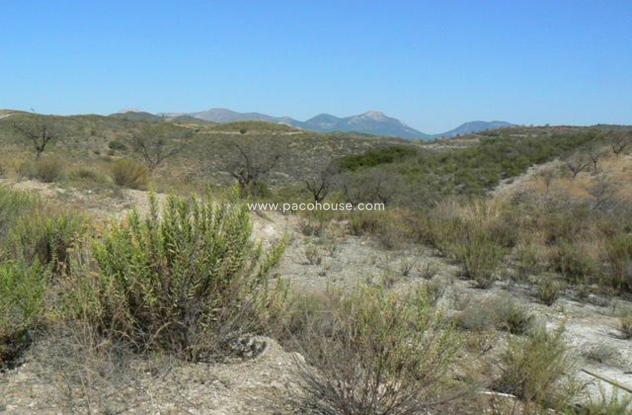 Resale - Plot / Land -
Zarzalico