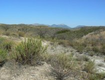 Resale - Plot / Land -
Zarzalico