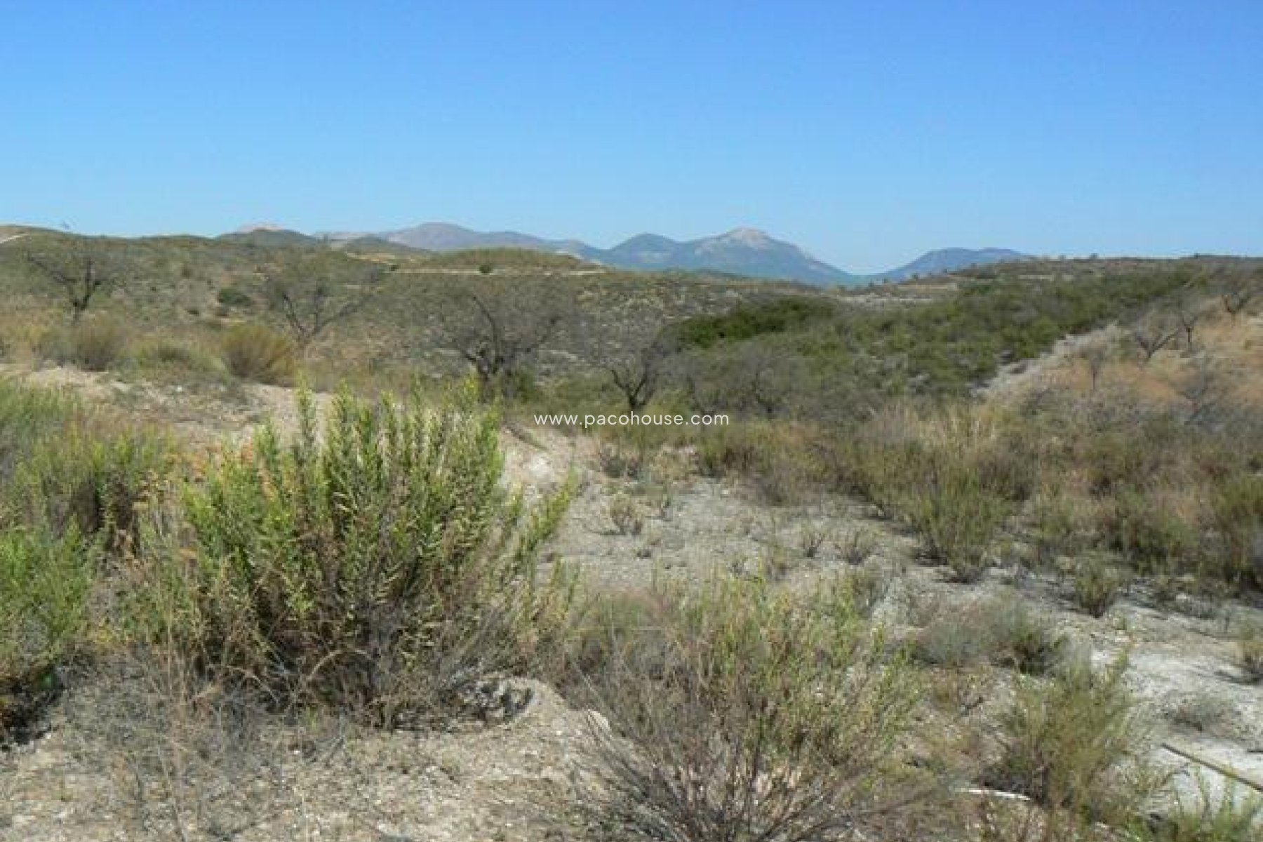 Resale - Plot / Land -
Zarzalico