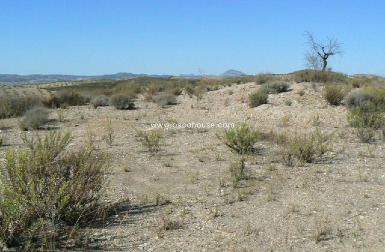 Resale - Plot / Land -
Zarzalico