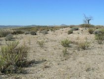 Resale - Plot / Land -
Zarzalico