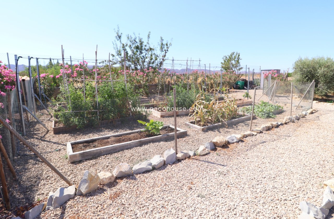 Resale - Villa -
Lorca