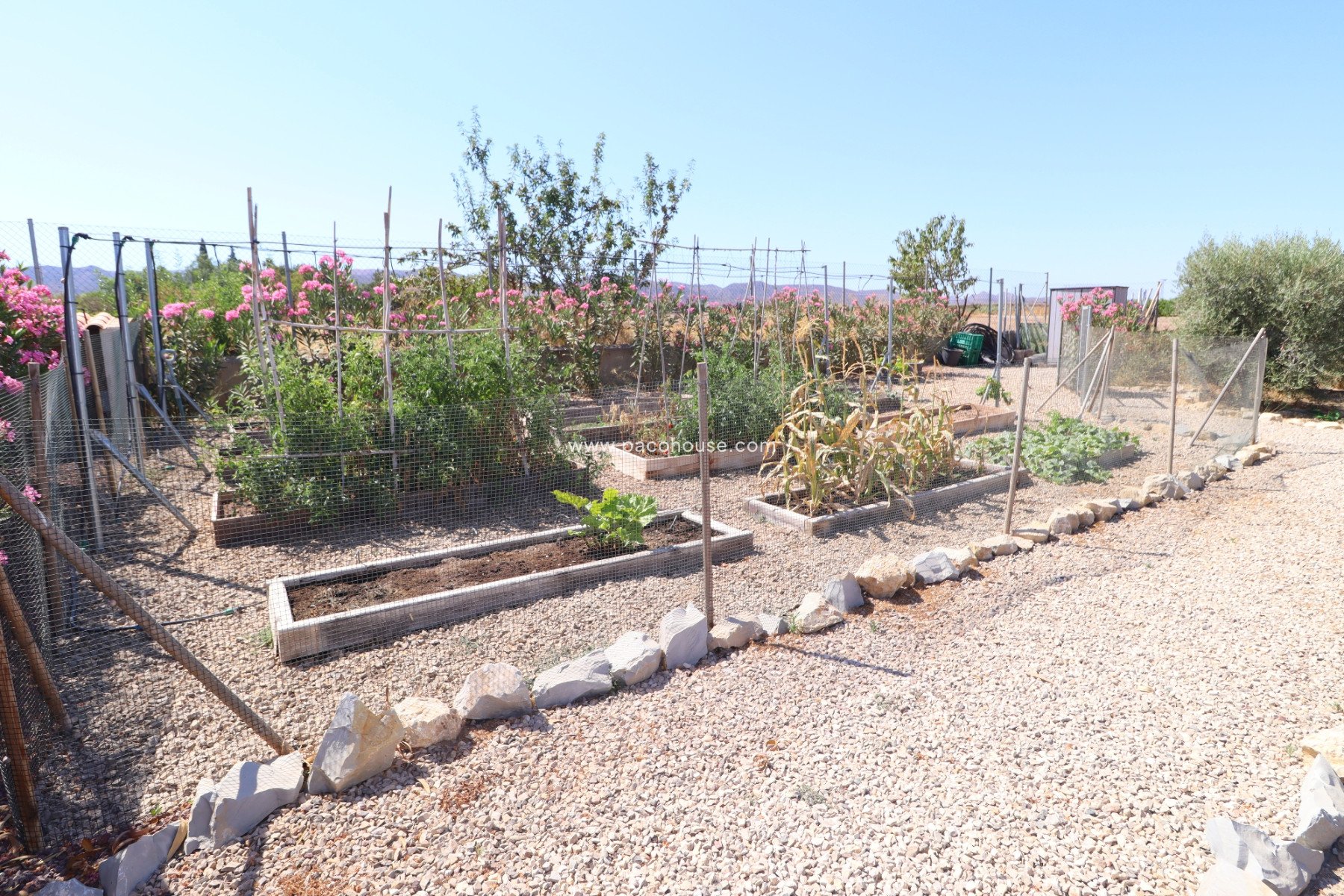 Resale - Villa -
Lorca