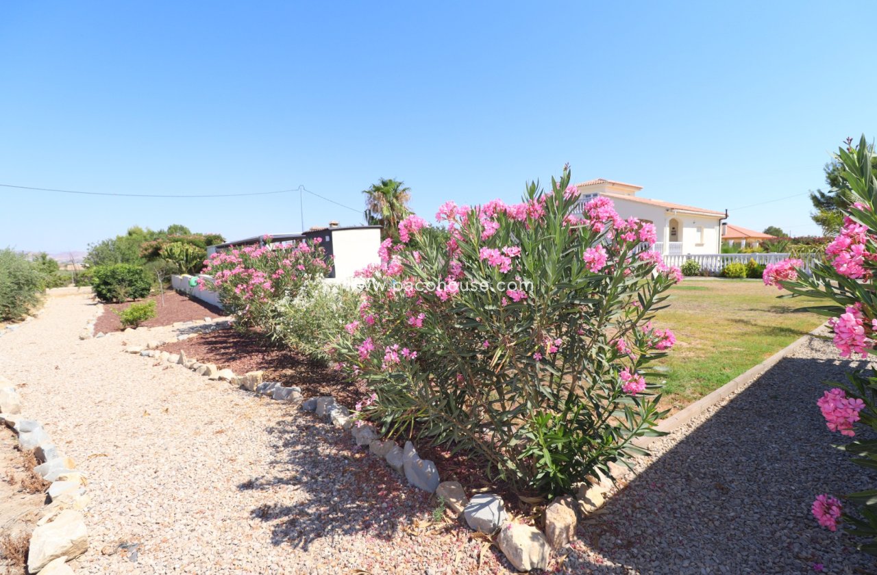 Resale - Villa -
Lorca