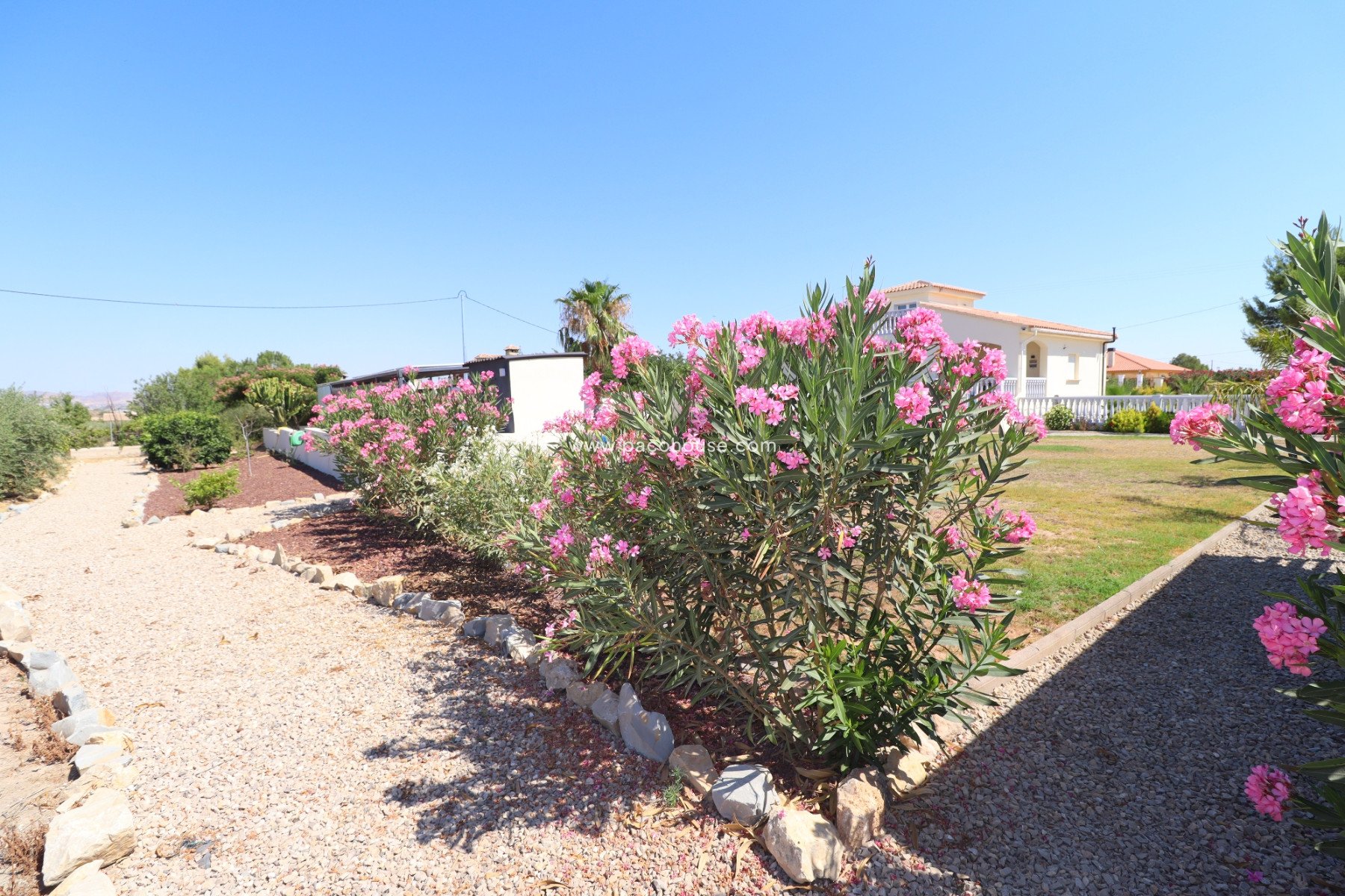Resale - Villa -
Lorca