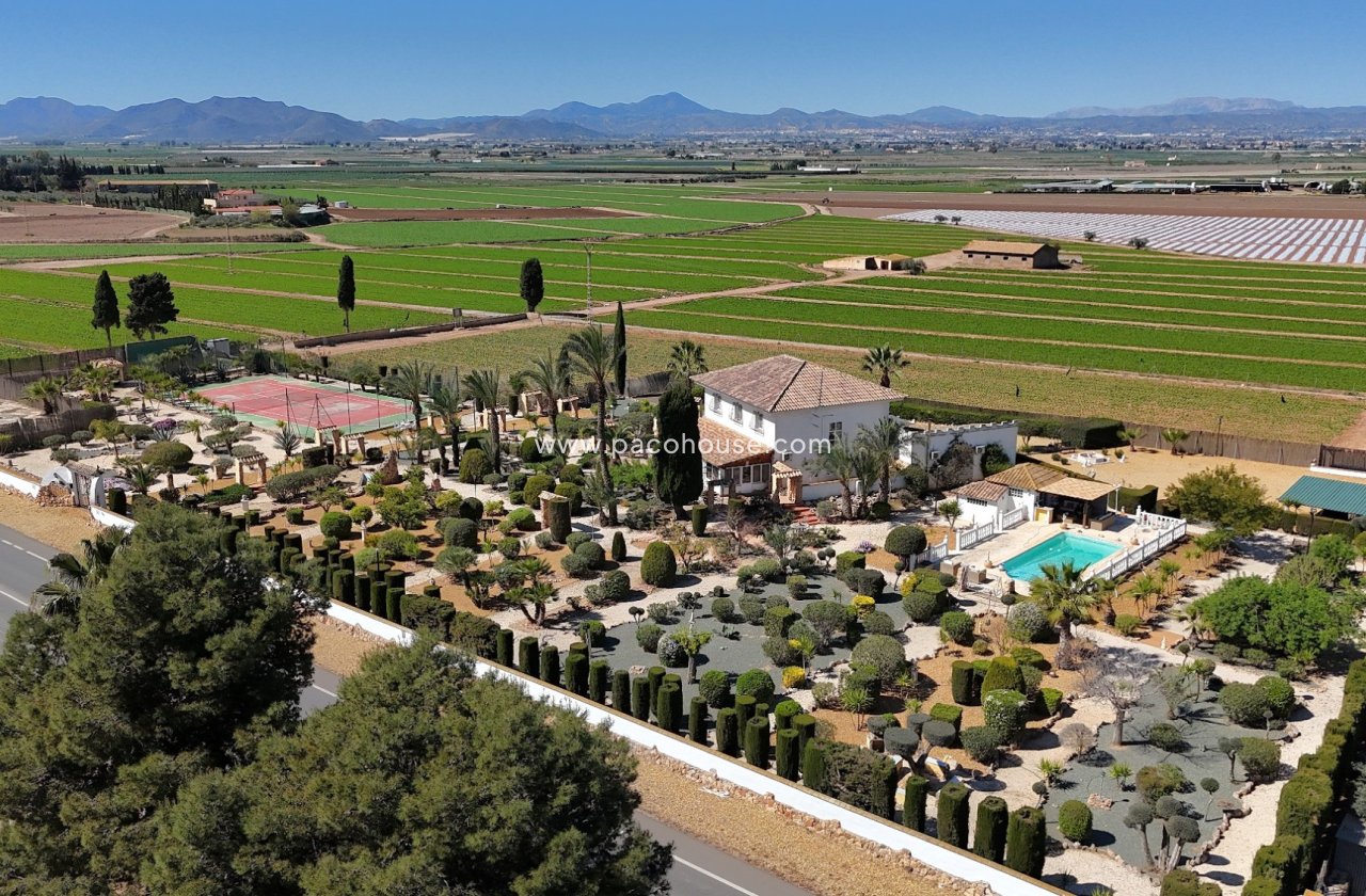 Resale - Villa -
Purias