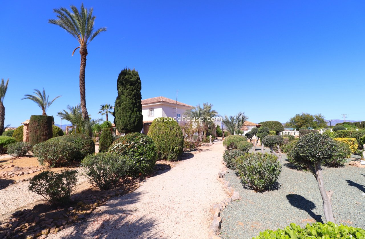 Resale - Villa -
Purias