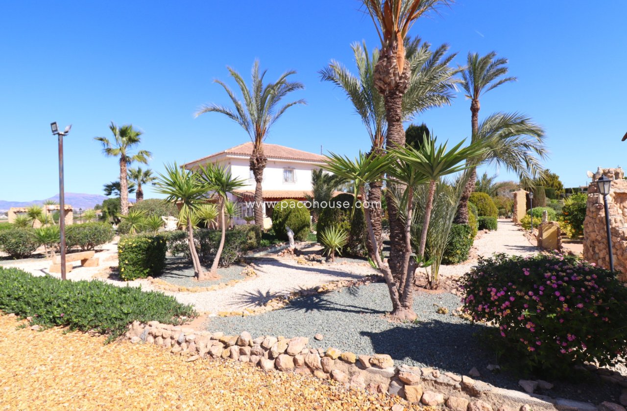 Resale - Villa -
Purias