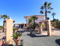 Resale - Villa -
Purias