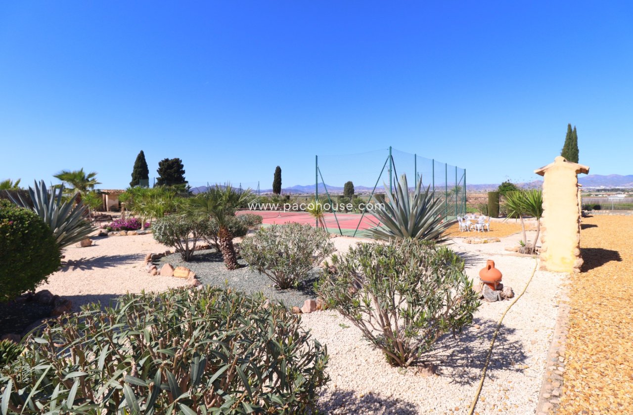 Resale - Villa -
Purias