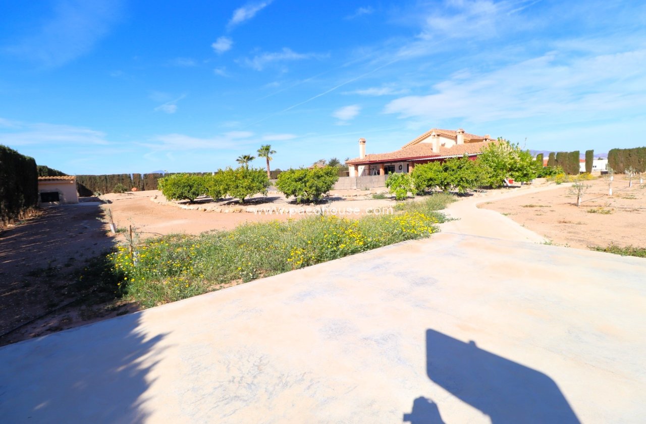 Resale - Villa -
Purias