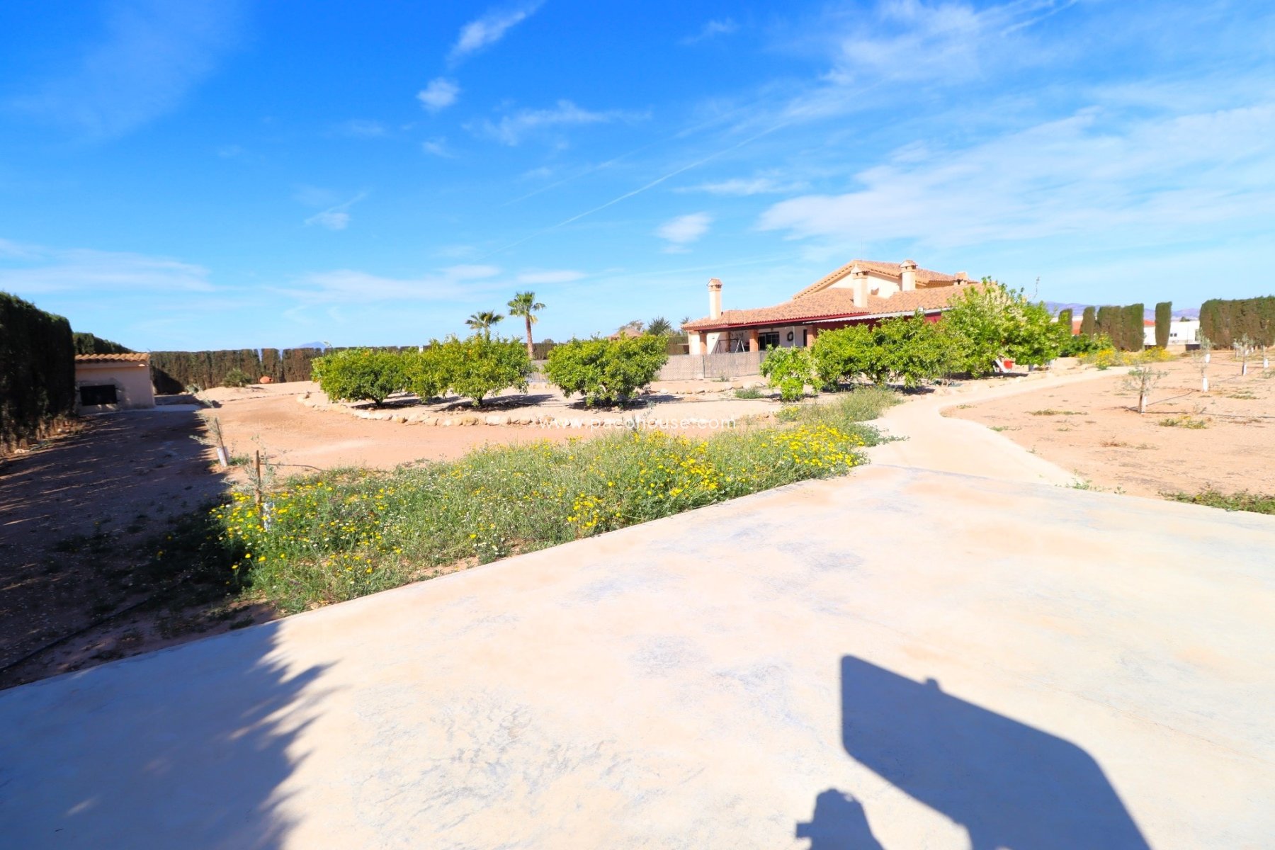 Resale - Villa -
Purias