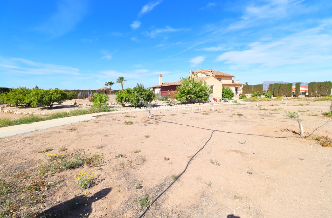 Resale - Villa -
Purias