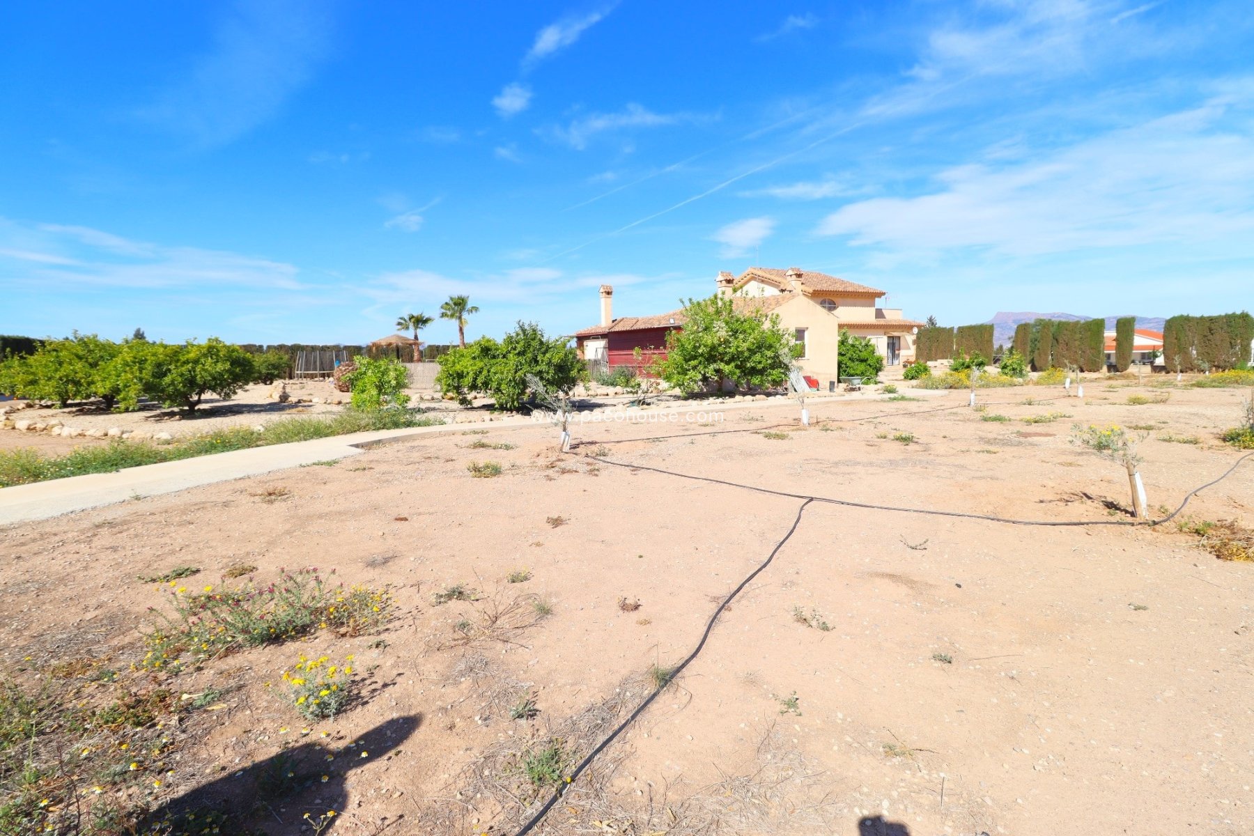 Resale - Villa -
Purias