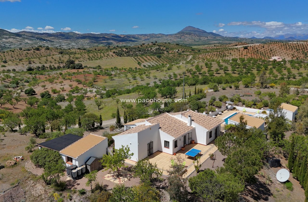 Resale - Villa -
Zarzalico