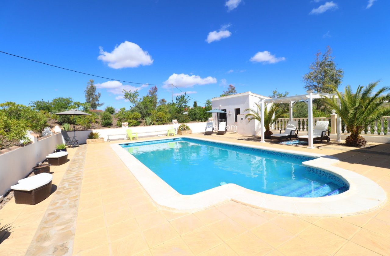 Resale - Villa -
Zarzalico
