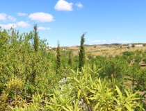 Resale - Villa -
Zarzalico