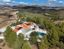 Resale - Villa -
Zarzalico