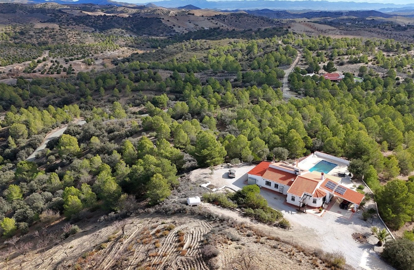 Resale - Villa -
Zarzalico