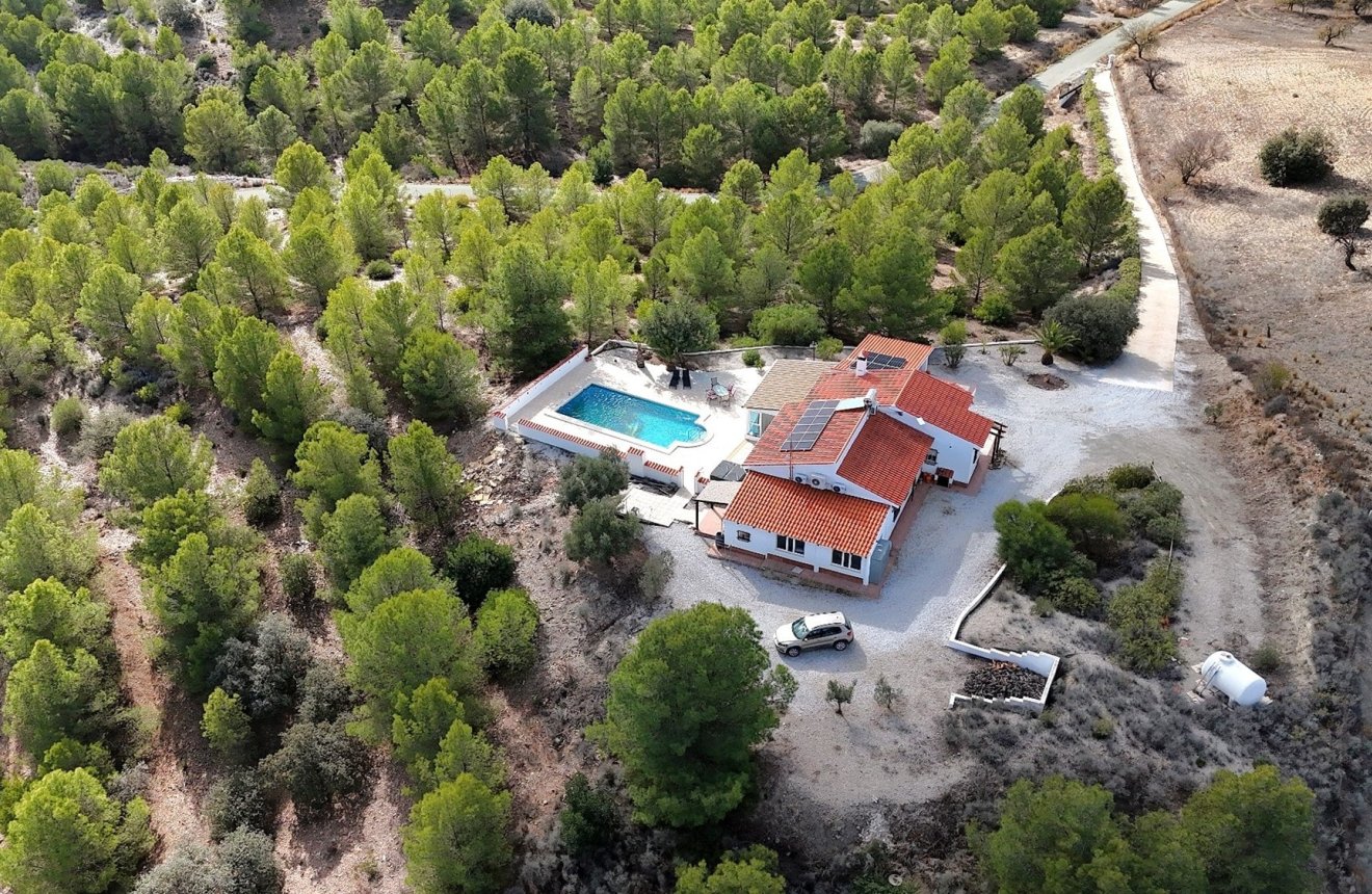 Resale - Villa -
Zarzalico