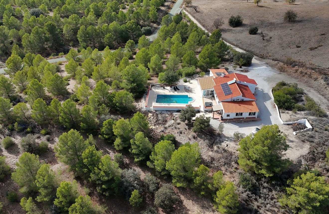 Resale - Villa -
Zarzalico