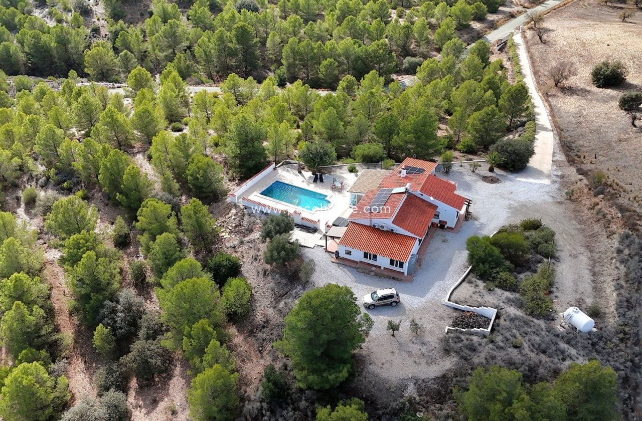 Resale - Villa -
Zarzalico
