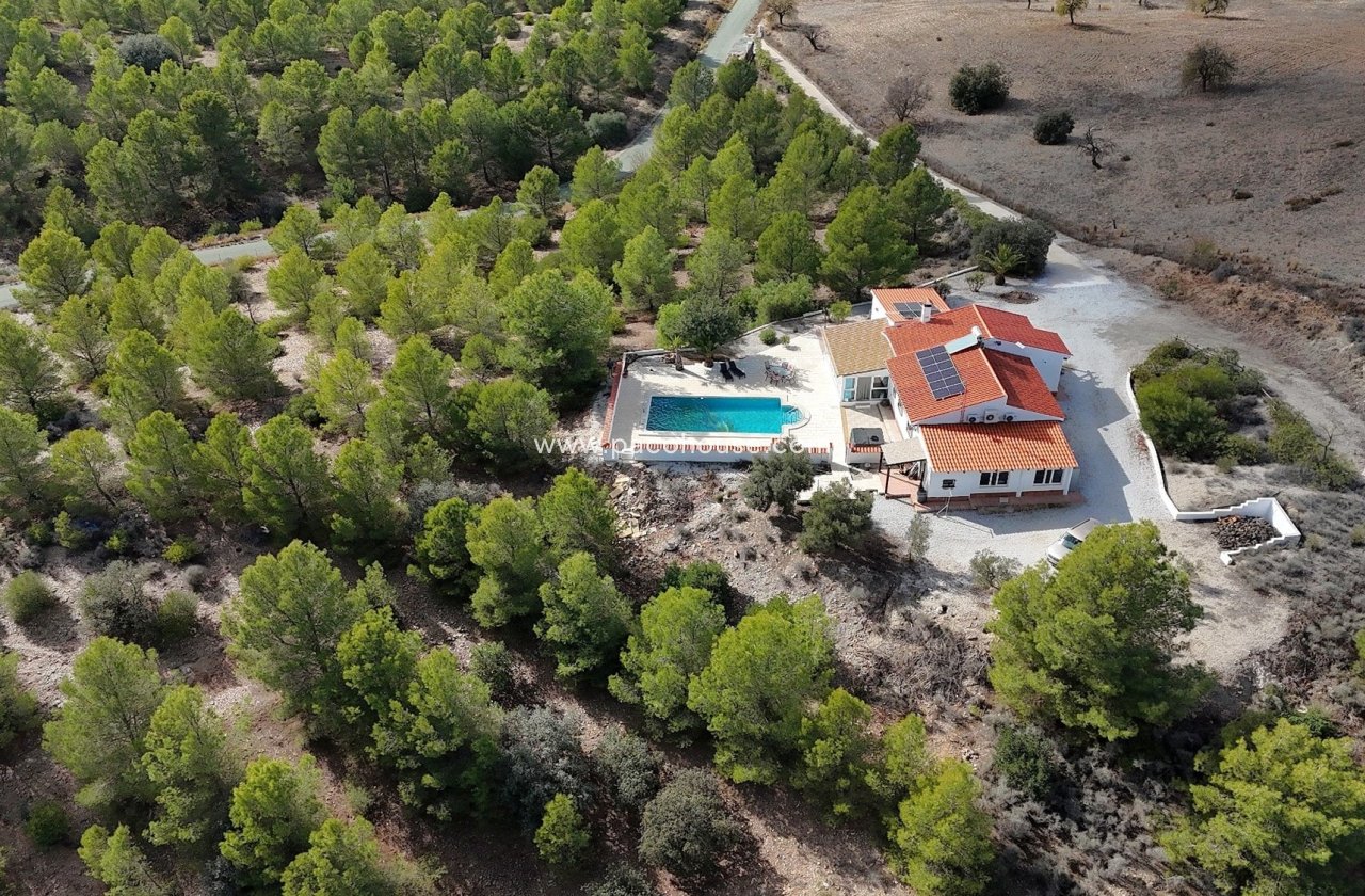 Resale - Villa -
Zarzalico