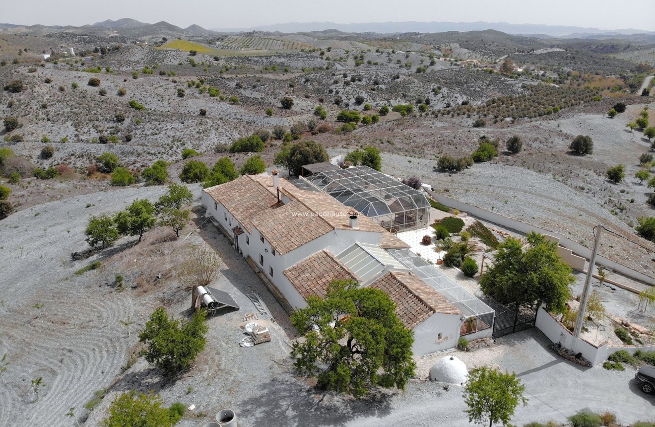 Reventa - Cortijo -
Puerto Lumbreras