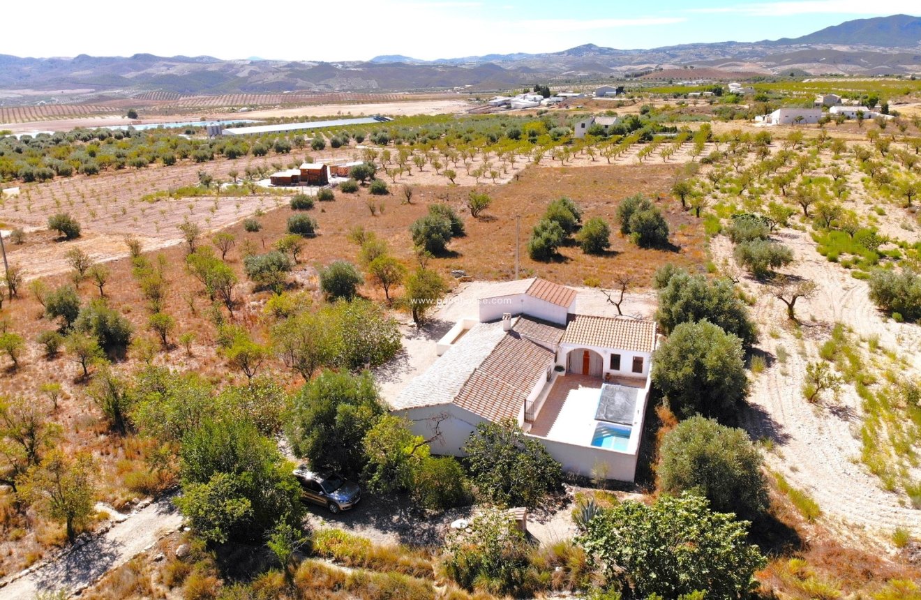 Reventa - Cortijo -
Velez-Blanco