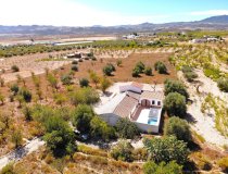 Reventa - Cortijo -
Velez-Blanco