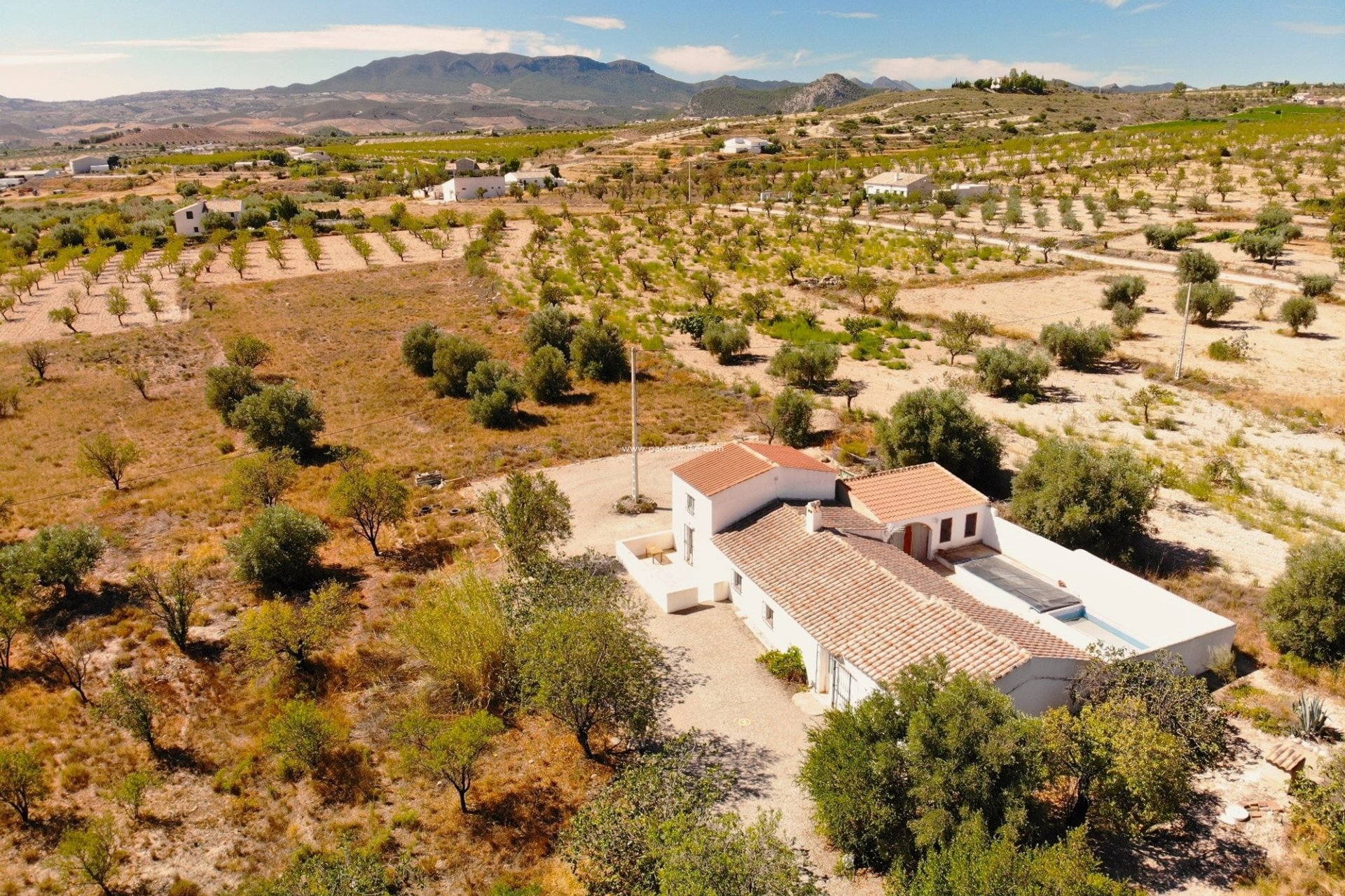 Reventa - Cortijo -
Velez-Blanco