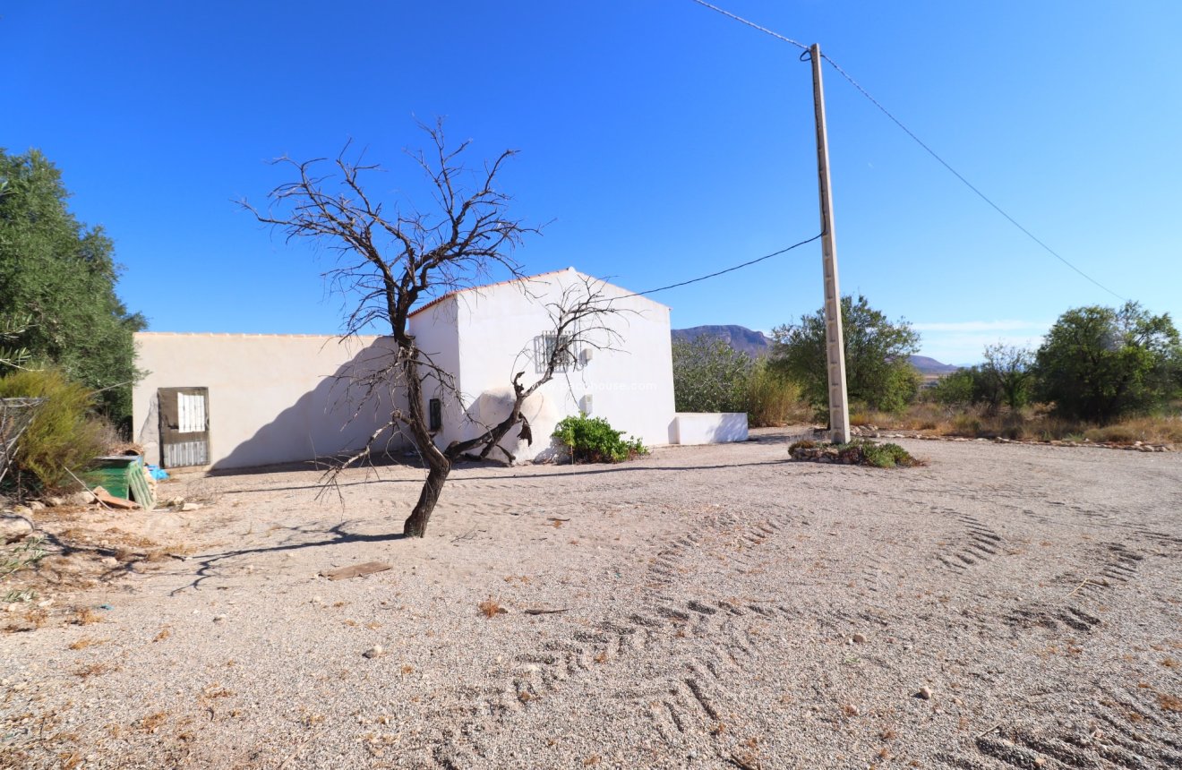 Reventa - Cortijo -
Velez-Blanco