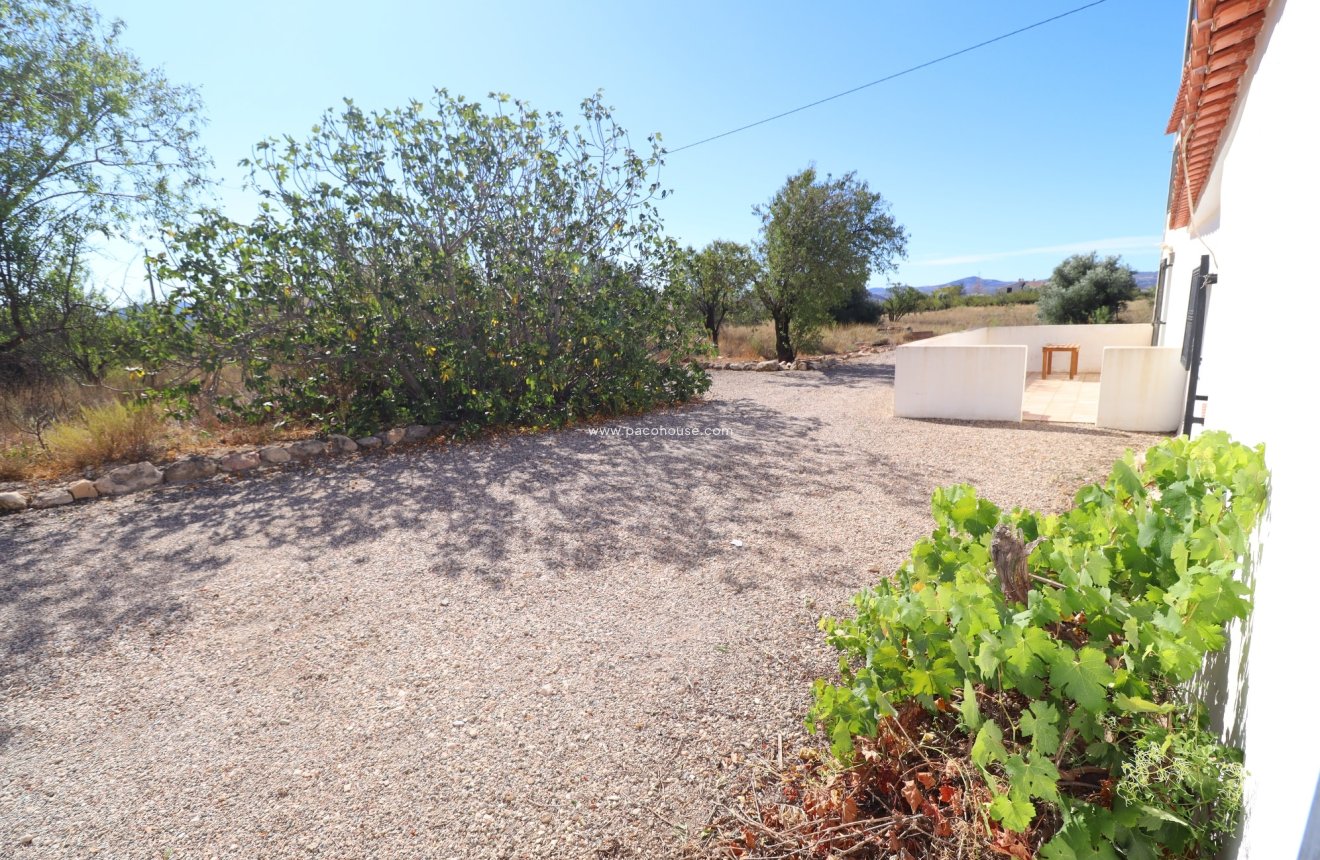 Reventa - Cortijo -
Velez-Blanco