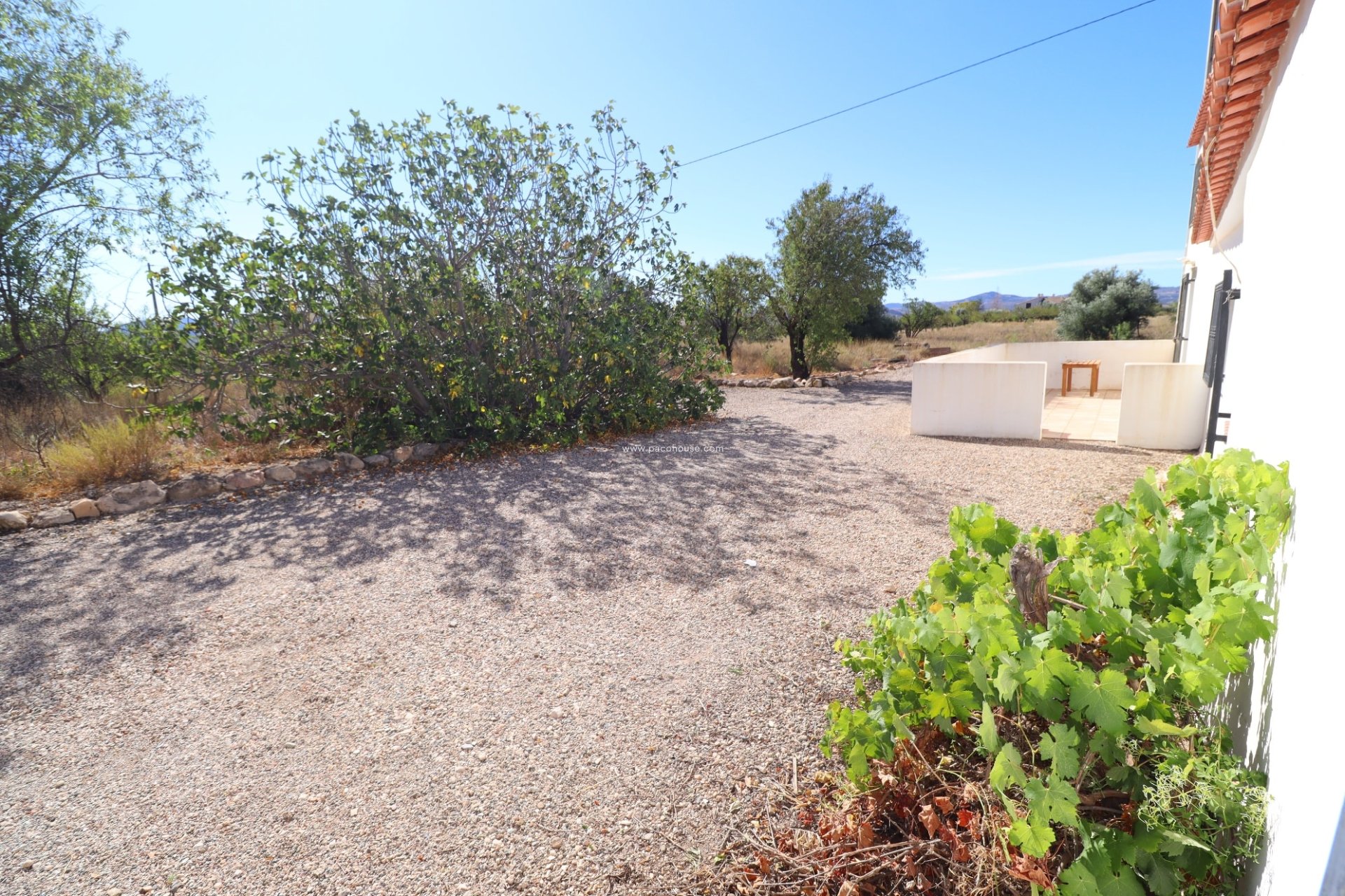 Reventa - Cortijo -
Velez-Blanco