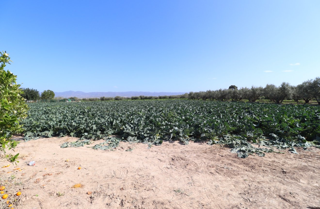 Reventa - Country House -
Lorca