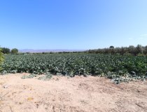 Reventa - Country House -
Lorca