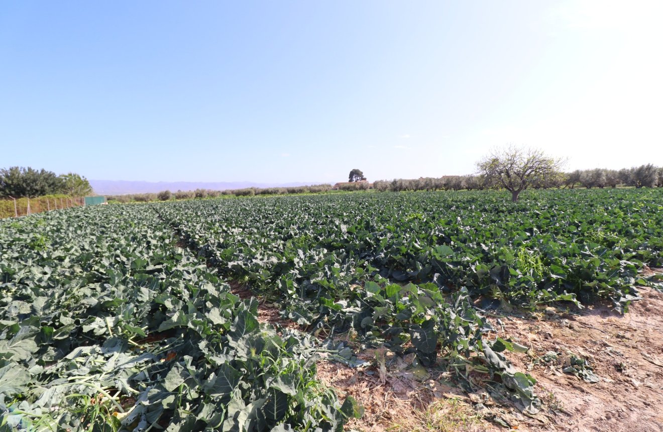 Reventa - Country House -
Lorca