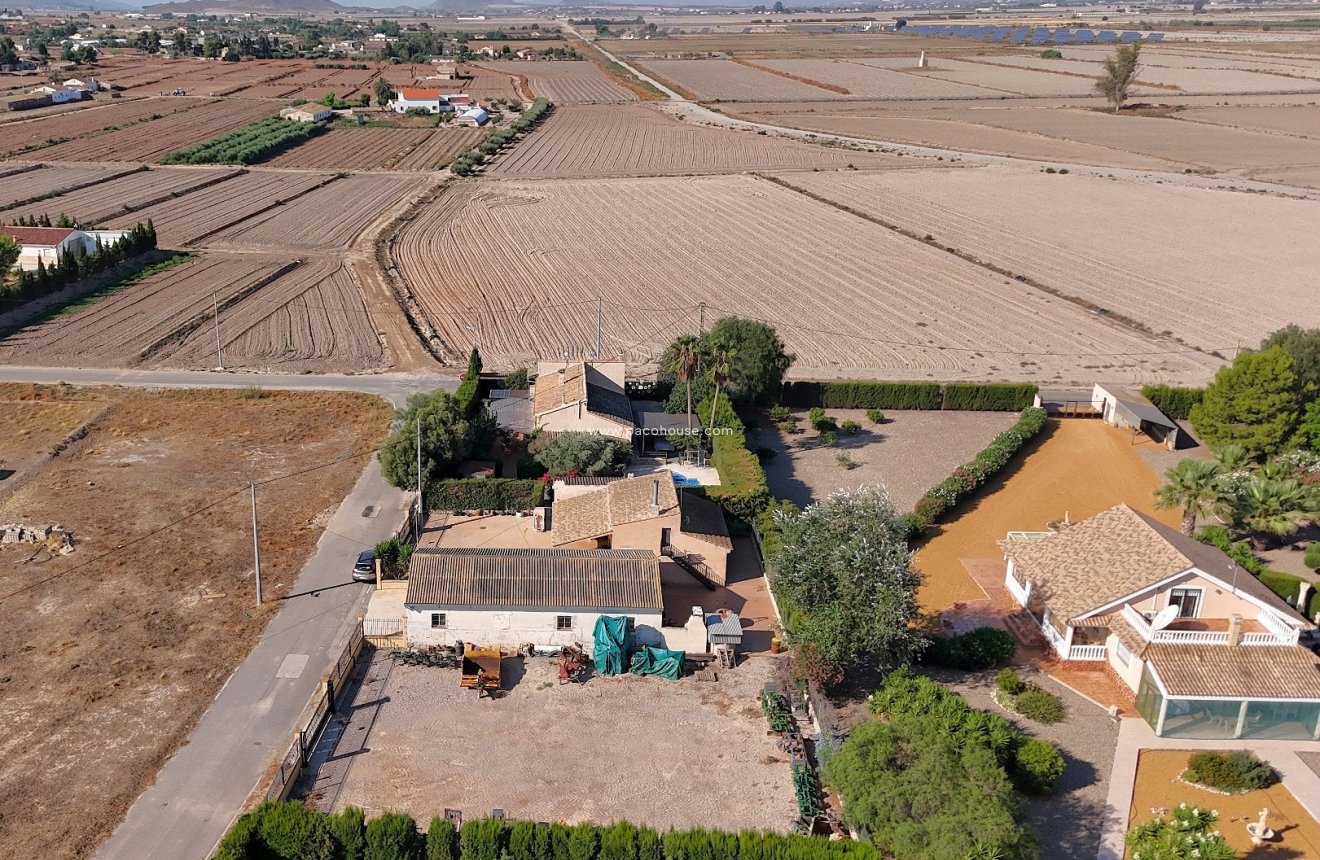 Reventa - Country House -
Purias