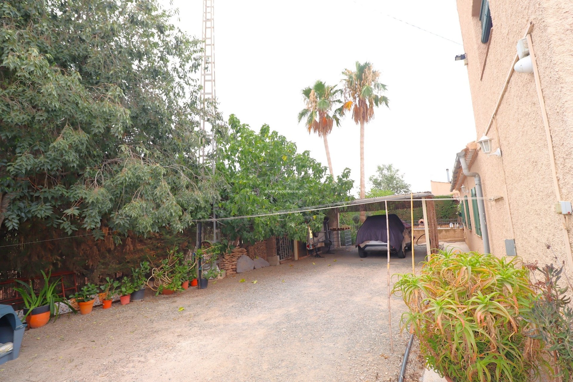 Reventa - Country House -
Purias