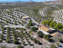 Reventa - Country House -
Zarzalico